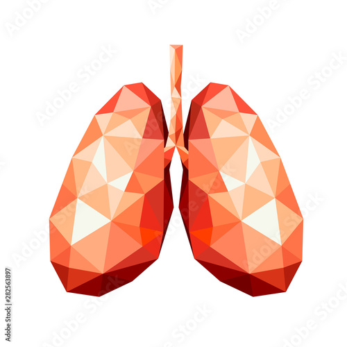 polygonal art of human lung design. faceted low-poly geometry effect. Abstract anatomy organ. Illustration isolated on white background.