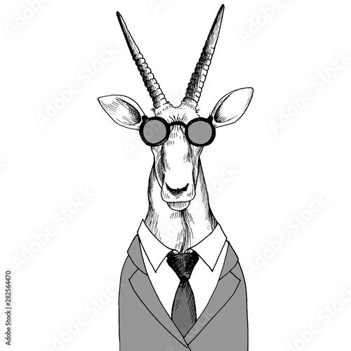 vector hand drawn head of antelope
