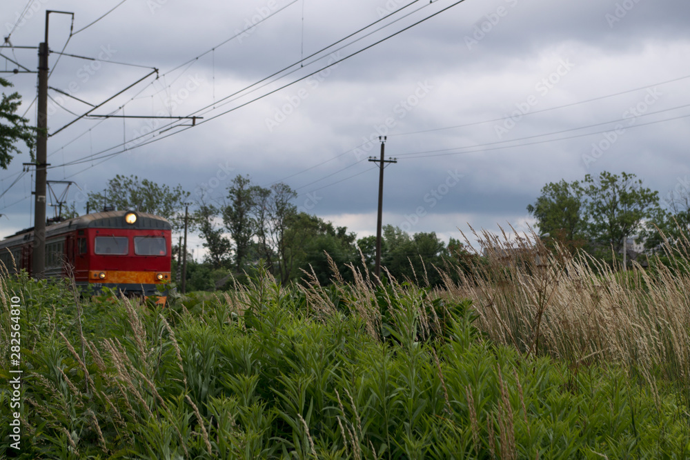 Spikelets of tall green succulent grass in a field and a blurred train with a red front running behind them between two wooden power line poles