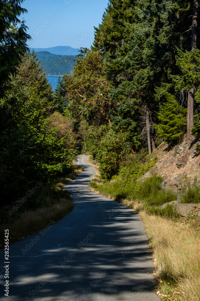 narrow road on the downhill slope with tall trees on both sides and island on blue ocean at far end over the horizon on a sunny day narrow road on the downhill slope with tall trees on both sides and island on blue ocean at far end over the horizon on a sunny day