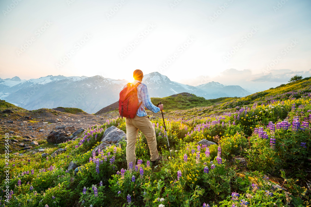 Naklejka premium Hike in Canada
