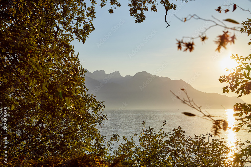 View on lake and mountains scenes through branch of tree in sunset View on lake and mountains scenes through branch of tree in sunset
