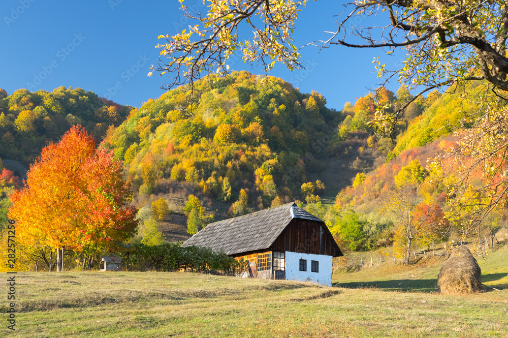 Rural Landscape with Autumn Colors.
