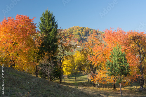 Rural Landscape with Autumn Colors.