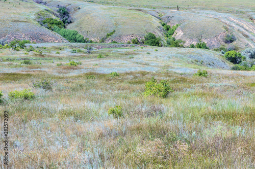 The russian steppe or prairie with ravines near Volgograd city in the sunny summer day. The countryside landscape or view with grass, bushes and small trees 