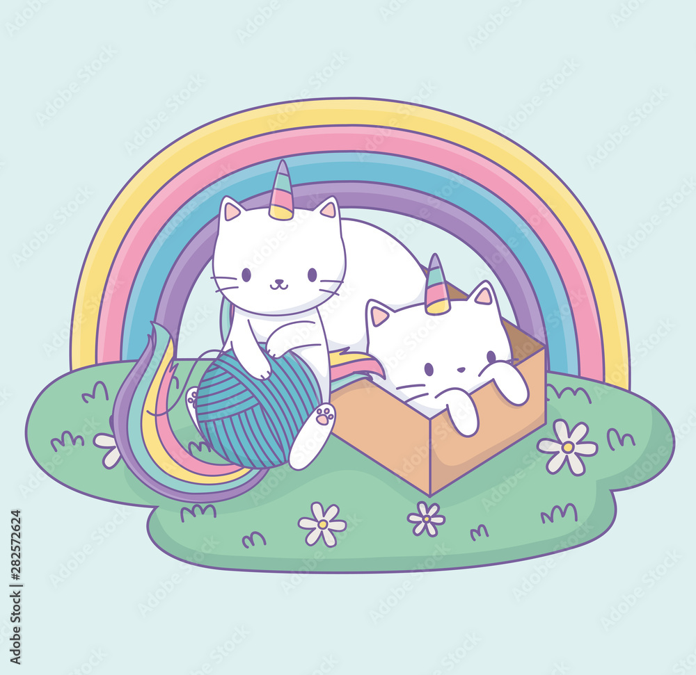 cute cats with rainbow tail and carton box kawaii characters cute cats with rainbow tail and carton box kawaii characters