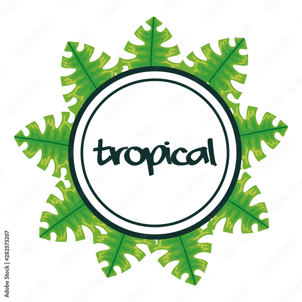 circular frame with tropical leafs circular frame with tropical leafs