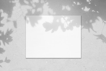 Empty white horizontal rectangle poster mockup with soft shadow on neutral light grey concrete wall background. Flat lay, top view