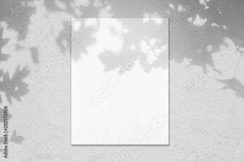 Empty white vertical rectangle poster mockup with soft hawthorn leaves shadows on neutral light grey concrete wall background. Flat lay, top view