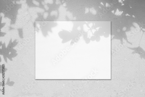 Empty white horizontal rectangle poster mockup with soft shadow on neutral light grey concrete wall background. Flat lay, top view