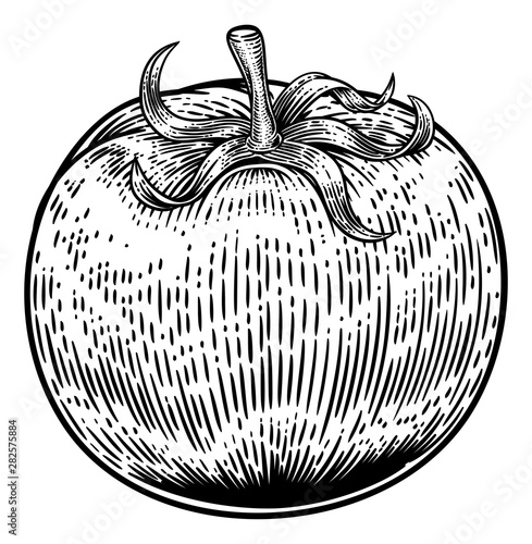 A tomato food graphic. Original illustration in a vintage engraving woodcut etching style.