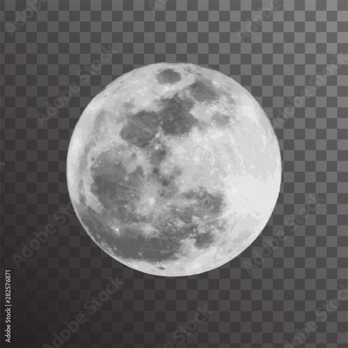 Realistic vector illustration of gray full moon