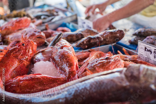 Fresh fish at traditional fish market