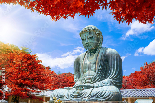 The Great Buddha of Kamakura at autumn season with red leaf, Kanagawa,Japan. Originally housed in a hall that was destroyed twice in the 14th Century, the great Buddha at Kotoku-in Temple..