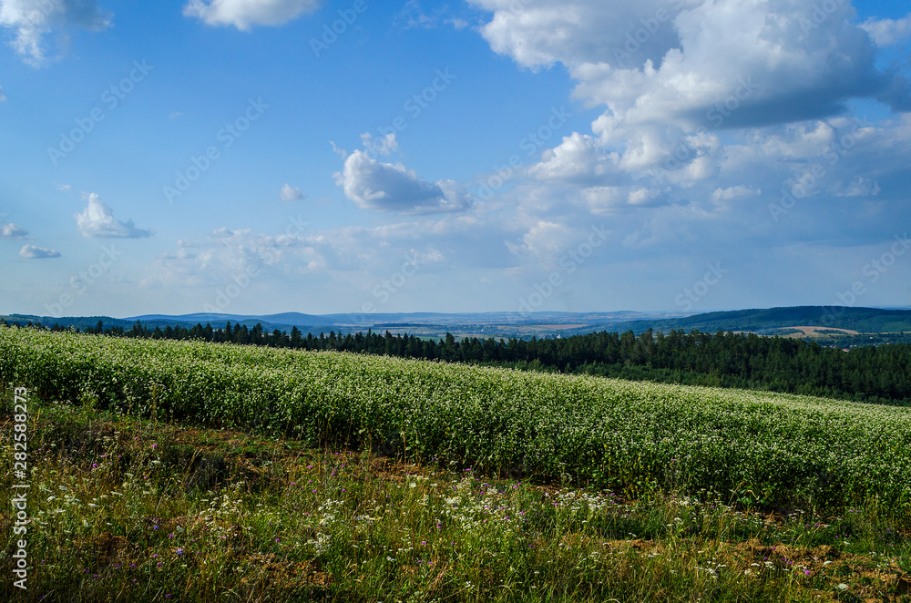 panorama panorama