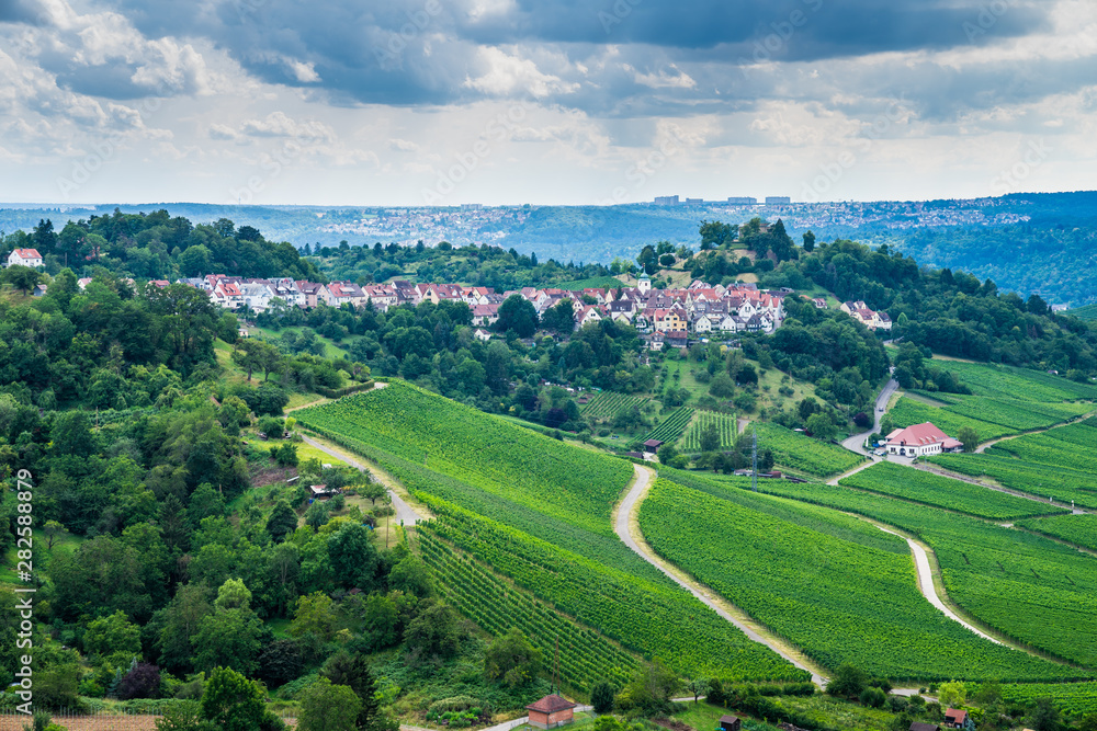 Germany, View above endless green vineyard nature landscape and trees surrounding stuttgart city district rotenberg on a hill in summer