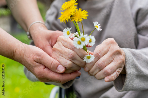 Elderly care - hands, bouquet photo