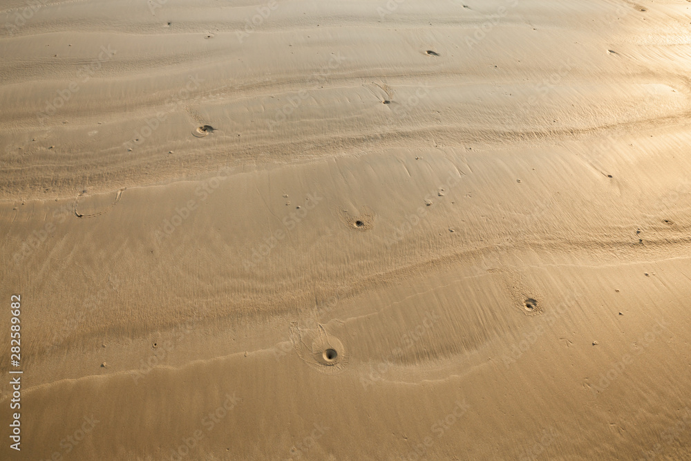 Seamless sand on a whole background and texture. Seamless sand on a whole background and texture.