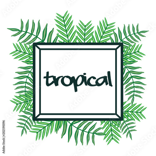 square frame with tropical leafs