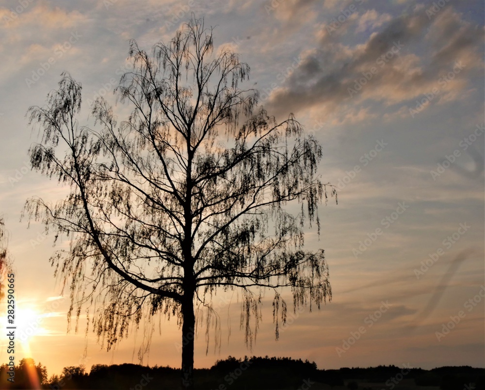 Sonnenuntergang Sonnenuntergang