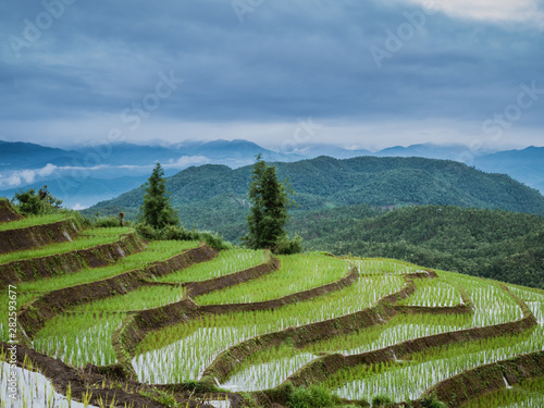 View of rice terraces at Thailand. © KUNVEE
