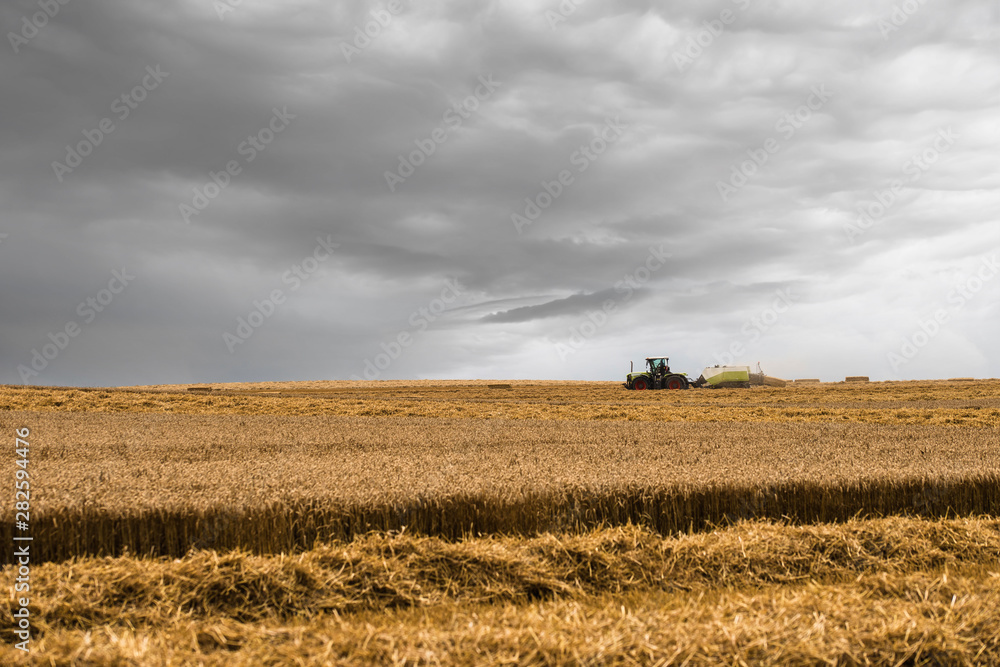 Fototapeta premium tractor and its trailer to make straw bales