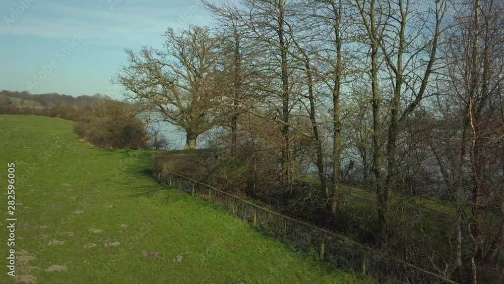 Drone flies against trees and up over trees towards the ocean Drone flies against trees and up over trees towards the ocean