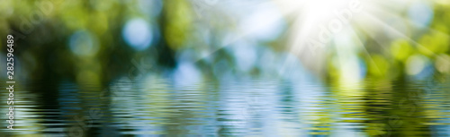 blurred image of natural background from water and plants photo