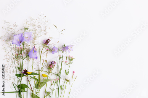 Floral pattern with wildflowers, green leaves, branches on white background. Flat lay, top view. © Olga Ionina