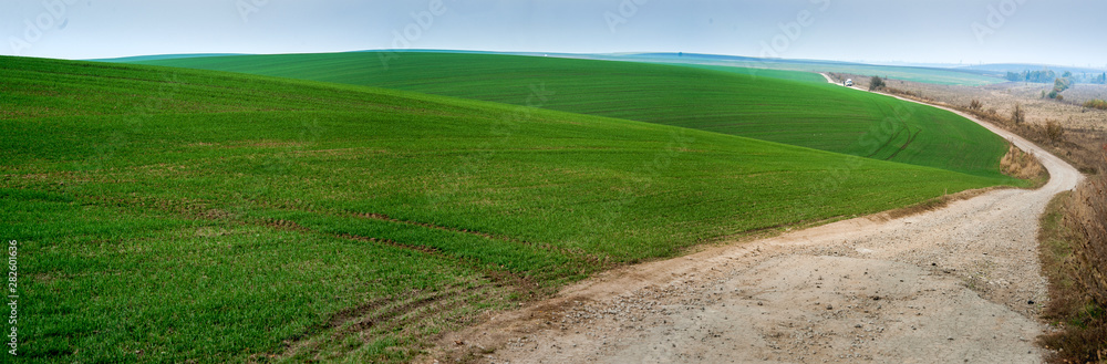 panoramic view of beautiful agicultural fields waves and dirt road