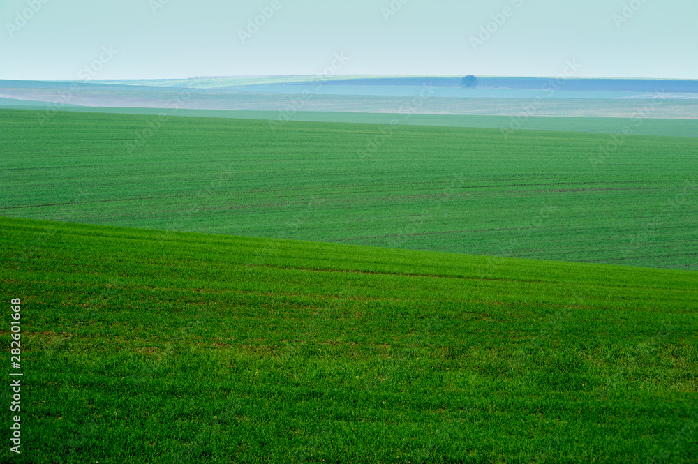 Morning fog with panoramic view of beautiful agicultural fields Morning fog with panoramic view of beautiful agicultural fields