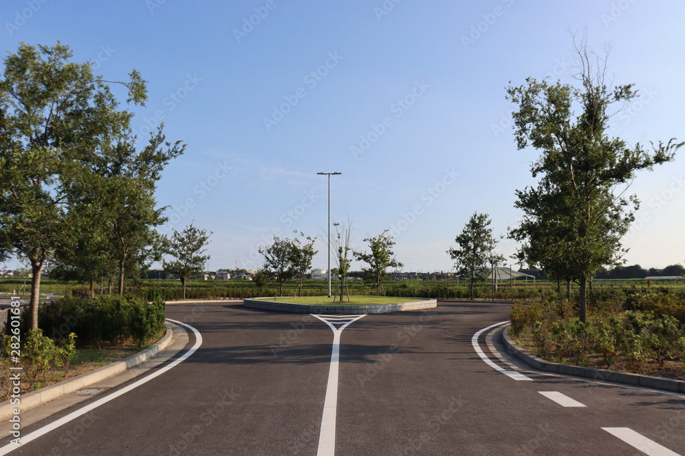 Fototapeta premium green leaves branch tree , background and textured
