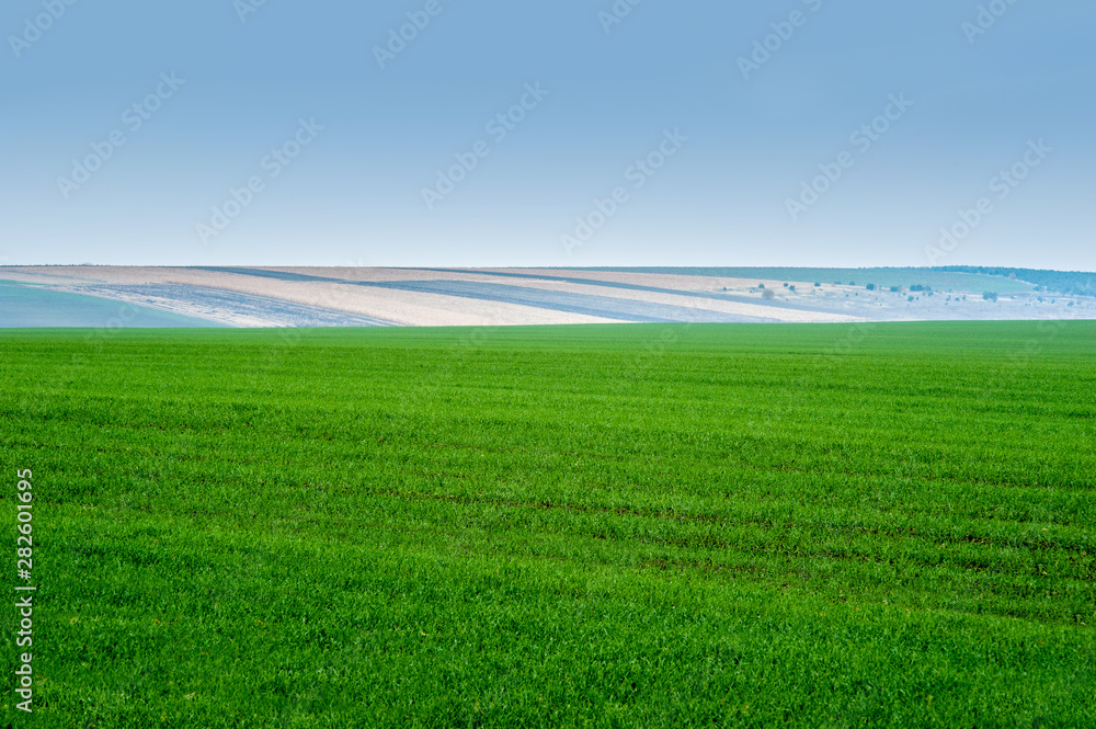 Fototapeta premium Morning fog with panoramic view of beautiful agicultural fields