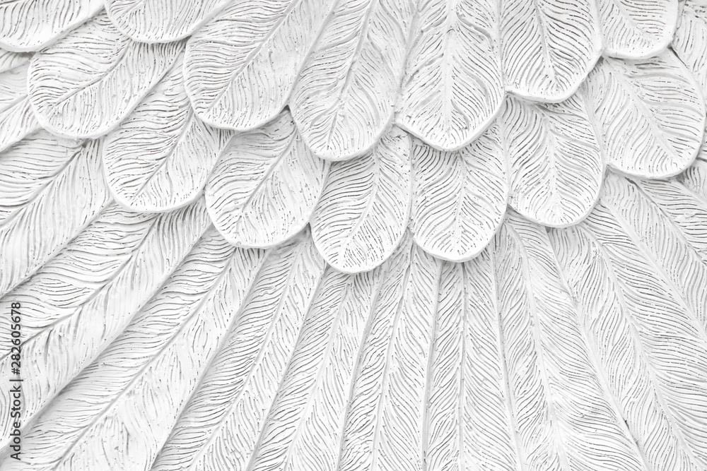 White Stucco feather background