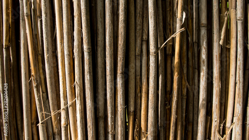 Natural bamboo fence background texture