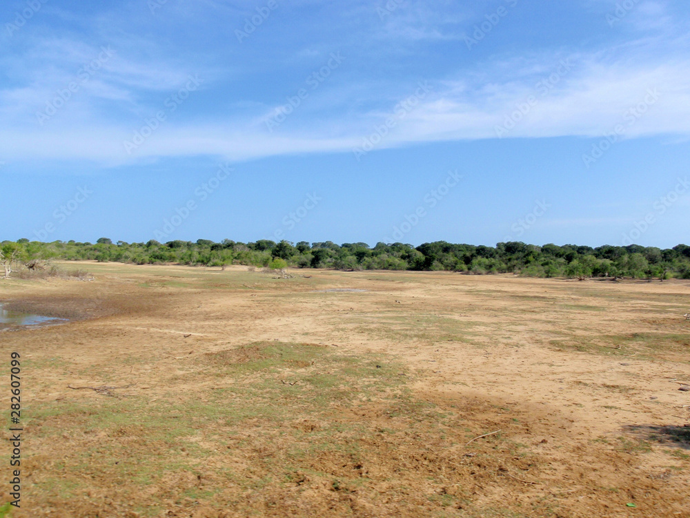 Obraz premium OLYMPUS DIGITAL CAMERA