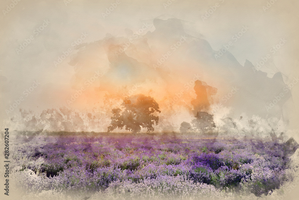 Fototapeta premium Digital watercolour painting of Beautiful dramatic misty sunrise landscape over lavender field in English countryside
