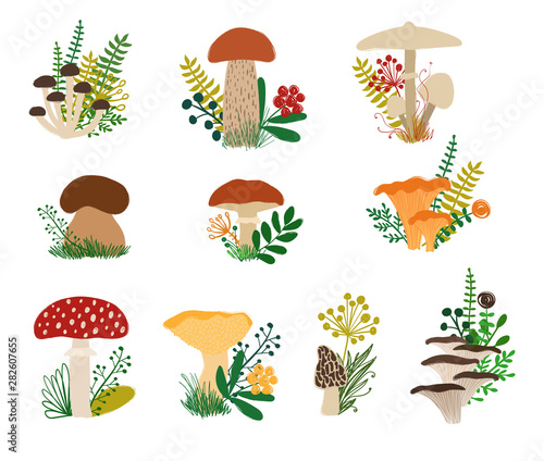 Autumn Collection Or Forestl Mushrooms And Plants.
