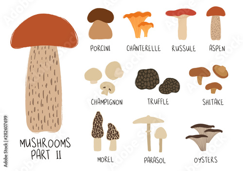 Collection Or Colorful Isolated Mushrooms.