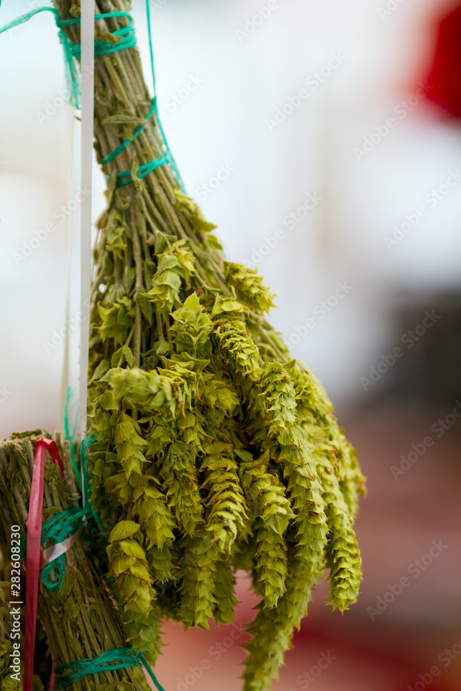 Close-up of tuft of green herb on the rope at farmer's market outdoors