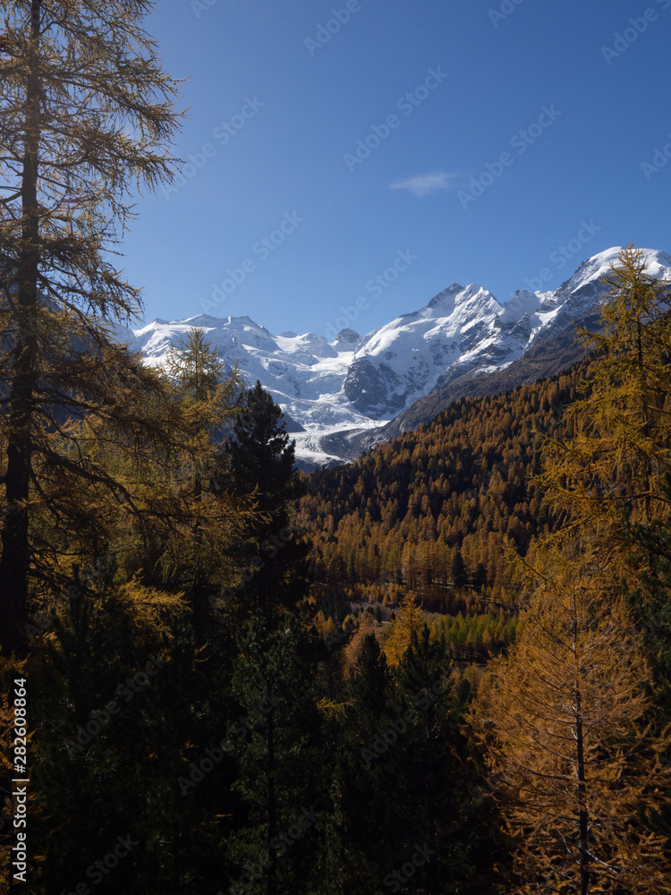 Autumn colours, Switzerland, with snowy peaks in the distance