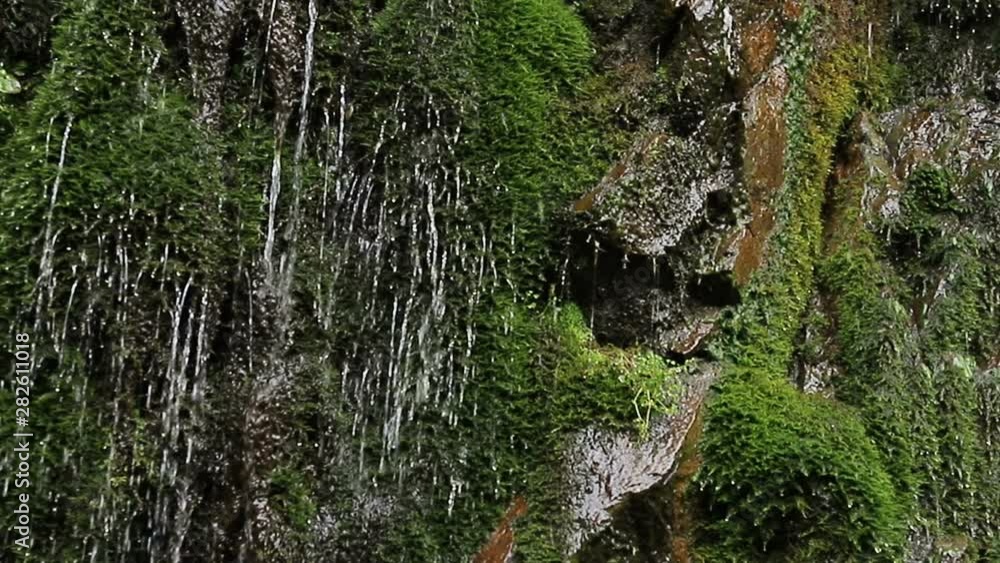 Waterfall in the mountains drops of water falls and splashes on the luscious green moss Waterfall in the mountains drops of water falls and splashes on the luscious green moss