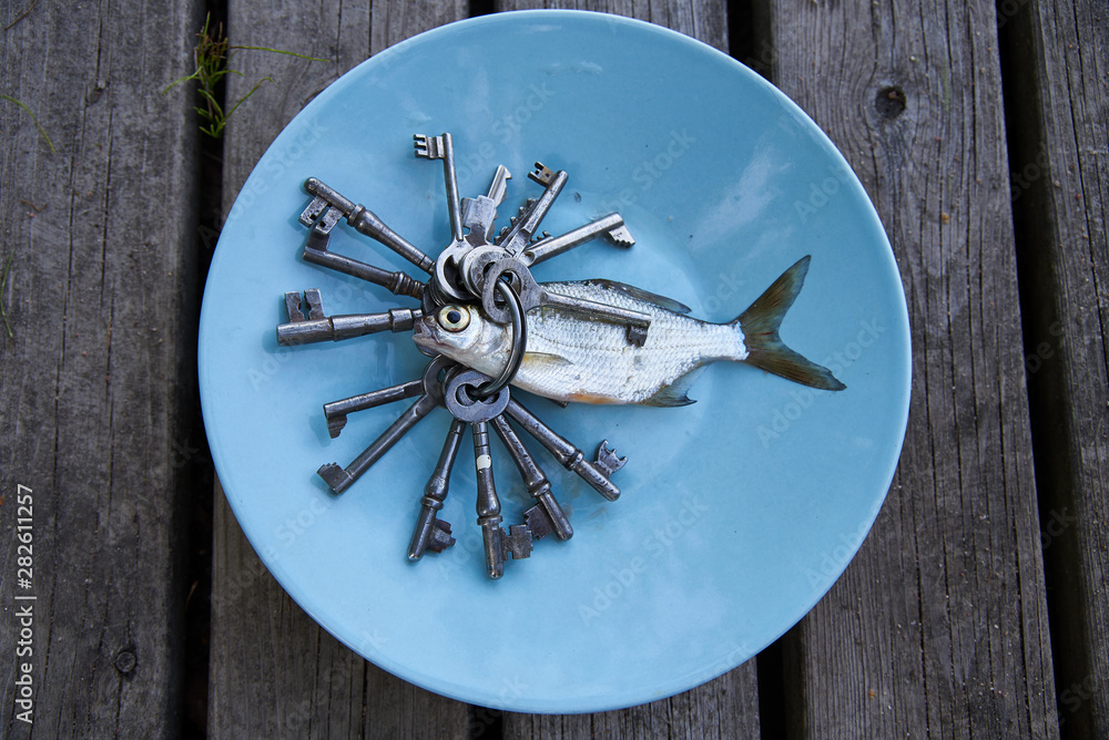 Small silver fish on a blue plate with antique key and wooden grey background. Eating more cyprinid and barb fishes is considered one of the possible solutions for food shortages and climate change. 