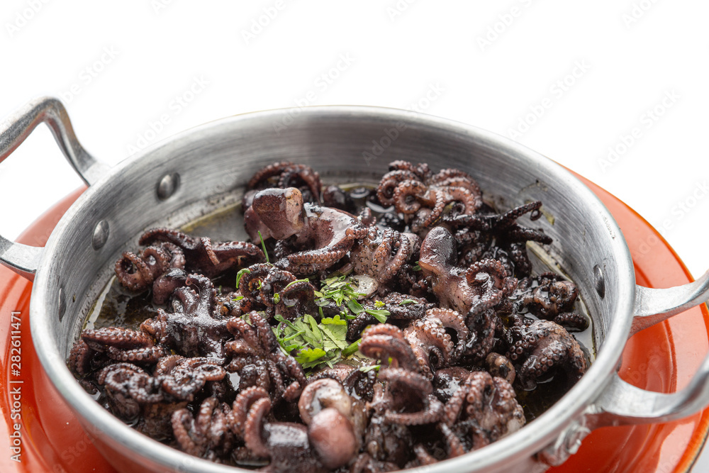 Small octopus stewed. Portuguese dish. white background Small octopus stewed. Portuguese dish. white background