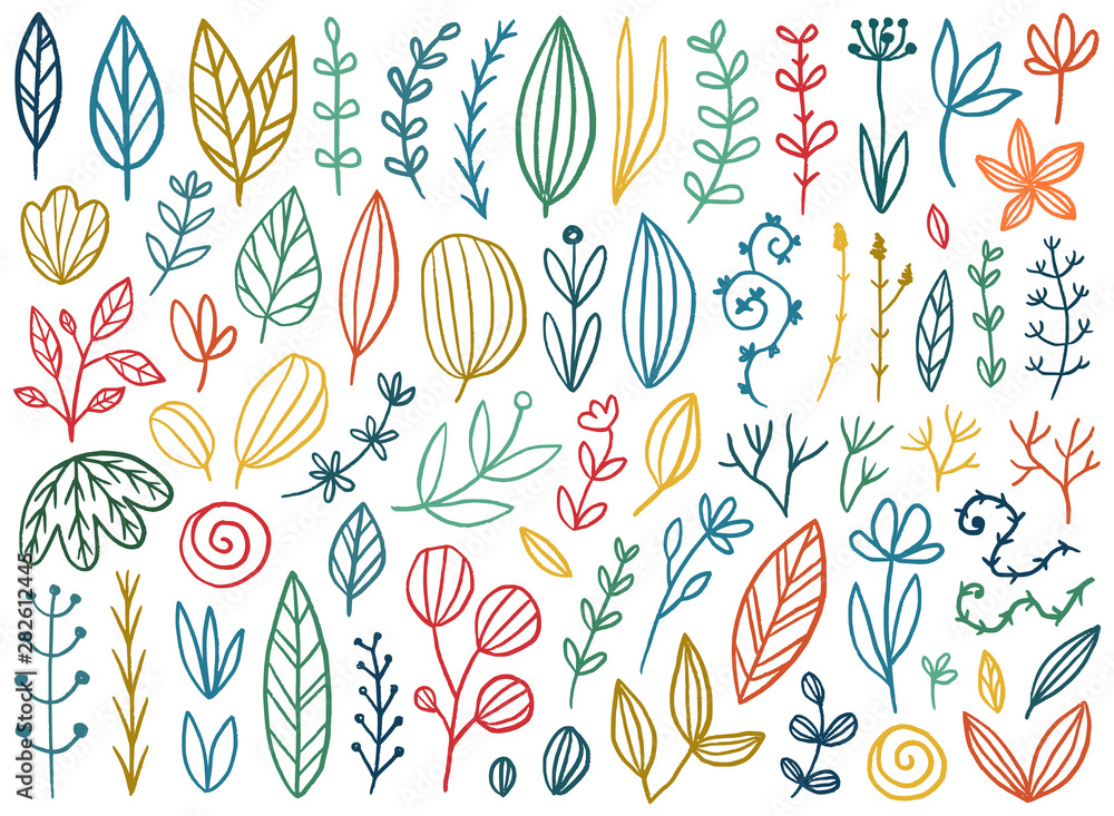 Floral vector collection Floral vector collection