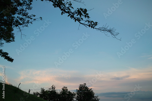 夏、うき雲