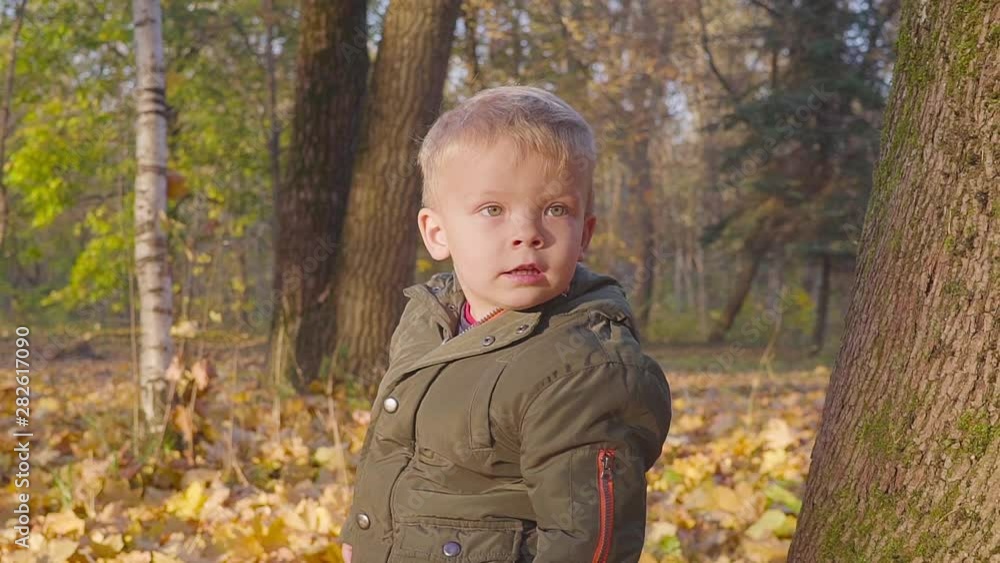 Fancy toddler boy sitting under autumn tree in park on big stomp and looking aside. bicycle in background. Harmony with nature concept. Fancy toddler boy sitting under autumn tree in park on big stomp and looking aside. bicycle in background. Harmony with nature concept.