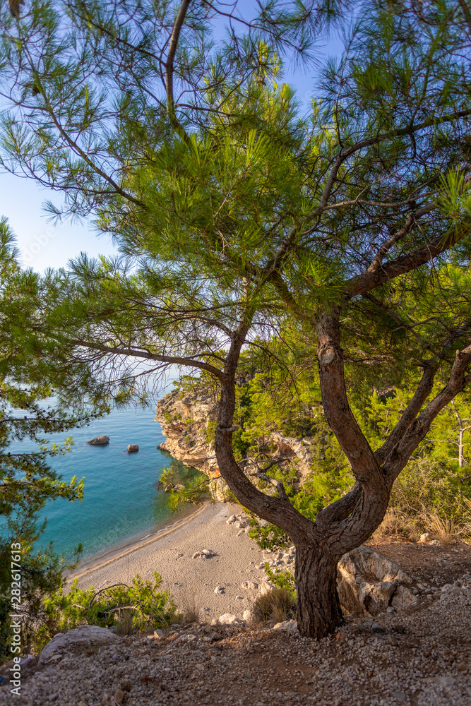 Great amazing summer landscape. Vertical color photography.