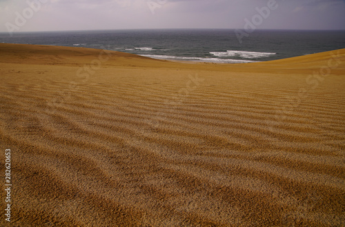 Wind crest in the sand