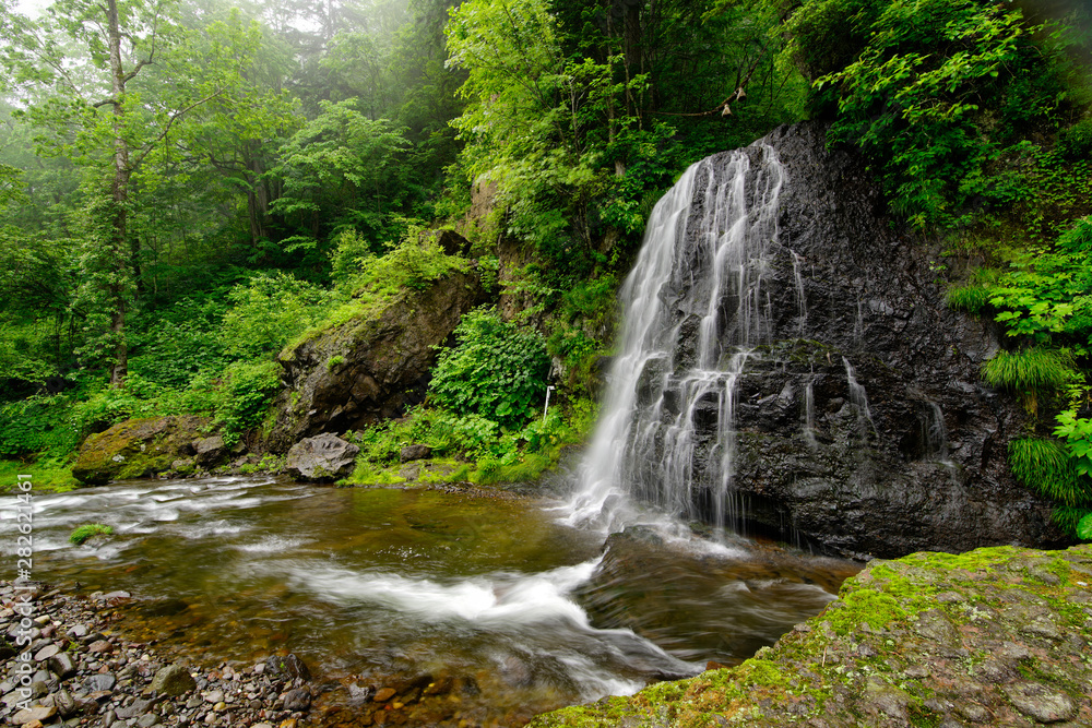 waterfall in forest waterfall in forest